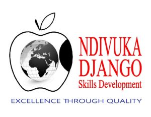 Ndivuka-Django Skills Development